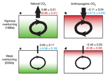 Scientists solve ocean ‘carbon sink’ puzzle