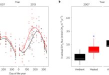Long-term warming amplifies shifts in the carbon cycle of experimental ponds