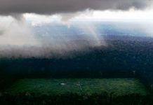 Biosphere–atmosphere interactions: Deforestation size influences rainfall
