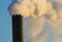 Polluters could ‘more easily’ commit crimes under cuts.