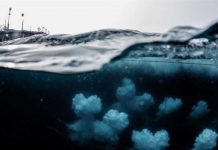Ártico: impacto del cambio climático en fotos