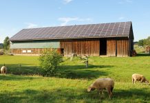 Solar farming brings benefits—and concerns—to the land.