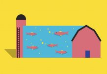 Replacing Farms With Fish Farms: The Odd Solution To Both Hunger And Climate Change