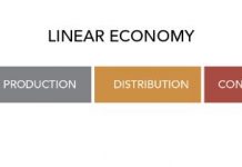 What is the Circular Economy and how can it help?