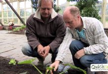 Ireland’s leading horticulturalist warns against soil fertility crisis #People4Soil