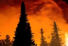 Climate Change Might Increase Fire Risks in Mediterranean Europe, According To Study