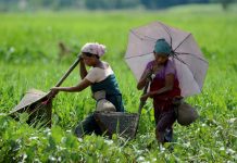Commentary: Gender Equality, a Game Changer for Improved Natural Resources Management