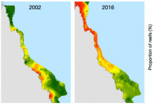 Coral reef survival hinges on ‘urgent and rapid’ emissions cuts