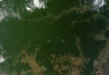Troubled meatpacker JBS sanctioned over Amazon deforestation