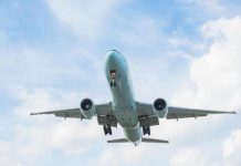 Biofuels can cut jet engine pollution by half: NASA.