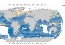 OPINIÓN: El Planeta primero. Nadie nos puede parar. Por Juan Carlos del Olmo, WWF España