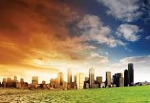 Kenya mulls plan to combat climate change in counties