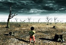 OPINION: Getting climate finance to where it is needed most
