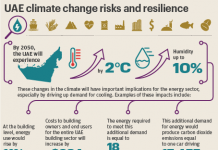 Renewables are the way forward for the UAE to cut emissions