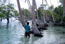 COP23 co-chairs plan Bula Spirit to liven up climate change agenda