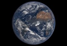 A view from the top: The growing role of scientists.