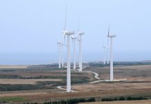 Green power: Wave of the future.
