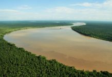 Can we find the world’s remaining peatlands in time to save them?