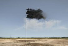 Irish Artist creates major new work for Earth Day 2017
