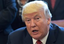 After dairy, Trump takes swipe at Canada over lumber and energy.