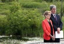 BLOG: Cap And Trade Is Off To A Good Start In Ontario. Now Let It Go To Work.