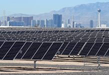 Bullish on renewable energy: Investors argue Trump can’t stop the revolution.