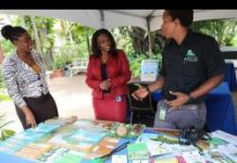 Jamaica steps up climate change resilience efforts