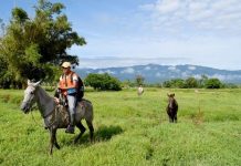Successful Colombian rainforest project exposes problems with carbon emissions trading.