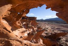 Gauging the Trump effect on energy, the environment and land in the West.