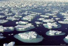 Sea-level rise in California could be catastrophic, study says.