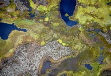 Warming limit of 1.5C would ‘save’ huge expanses of permafrost, study says