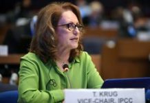 Brazilian government fires top anti-deforestation official