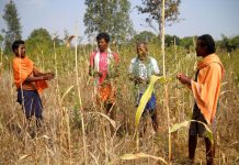 Groundwater recharge offers hope to drought-hit Indian farmers