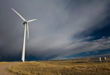 After 25 Years of Trying, Why Aren’t We Environmentally Sustainable Yet?