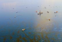 Fossil Fuel Industry Exposed to New Threats as Sustainability Movement Gathers Pace
