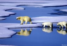Four climate change myths, debunked.