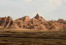 'I take responsibility' – rogue Badlands tweeter.