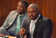 Jamaica on course for 30% renewable energy Wheatley