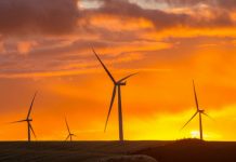 Clean energy patent slump in US stirs concern.