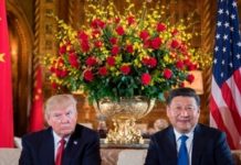 China's Xi outshines Trump as the world's future energy leader.
