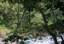 Tina Hydro Project gains funding worth $670 million