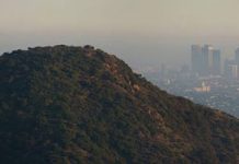 Murky outlook on California fuel economy standards.