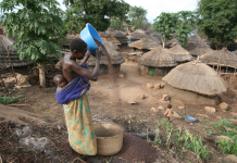 Uganda: Study Reveals the Gender Gap in Tanzania, Uganda Climate Policies