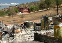 Wildfires on the rise due to drought and climate change