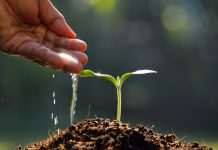 How food could prevent a climate disaster.