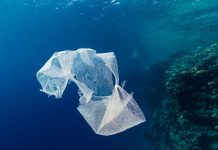 Newly-evolved microbes may be breaking down ocean plastics.