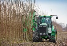 EU nations set to wipe out forests and not account for emissions.