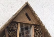 Donnybrook Buzz Shelter is taking it’s Bees very seriously – All-Ireland Pollinator Plan