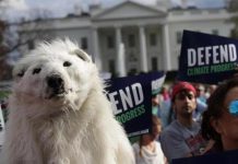 Want to protect the climate? Time for carbon pricing.