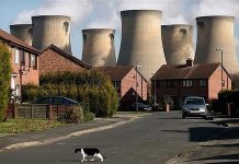 UK Coal Industry Gets Hundreds of Millions in Subsidies Each Year, Report Finds